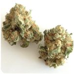 Шишки "White Widow" (Белая вдова) Гидропоника - Бошка VHQ в Раменском Шишки "White Widow" (Белая вдова) Гидропоника - Бошка VHQ в Раменском