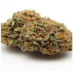 Шишки AK47 (Гидропоника, Бошка) VHQ в Раменском Шишки AK47 (Гидропоника, Бошка) VHQ в Раменском